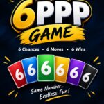 6pp.com